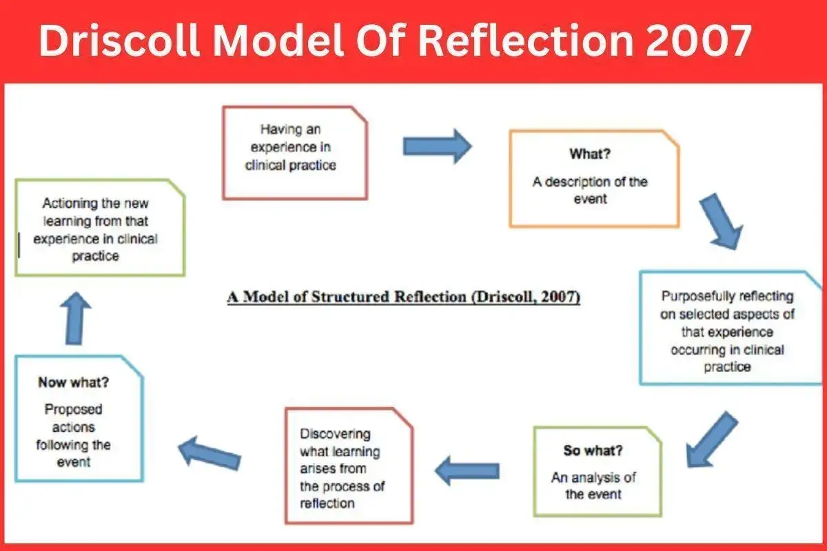 Online John Driscoll Model of Reflection 2007