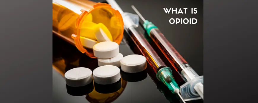 What Is Opioid