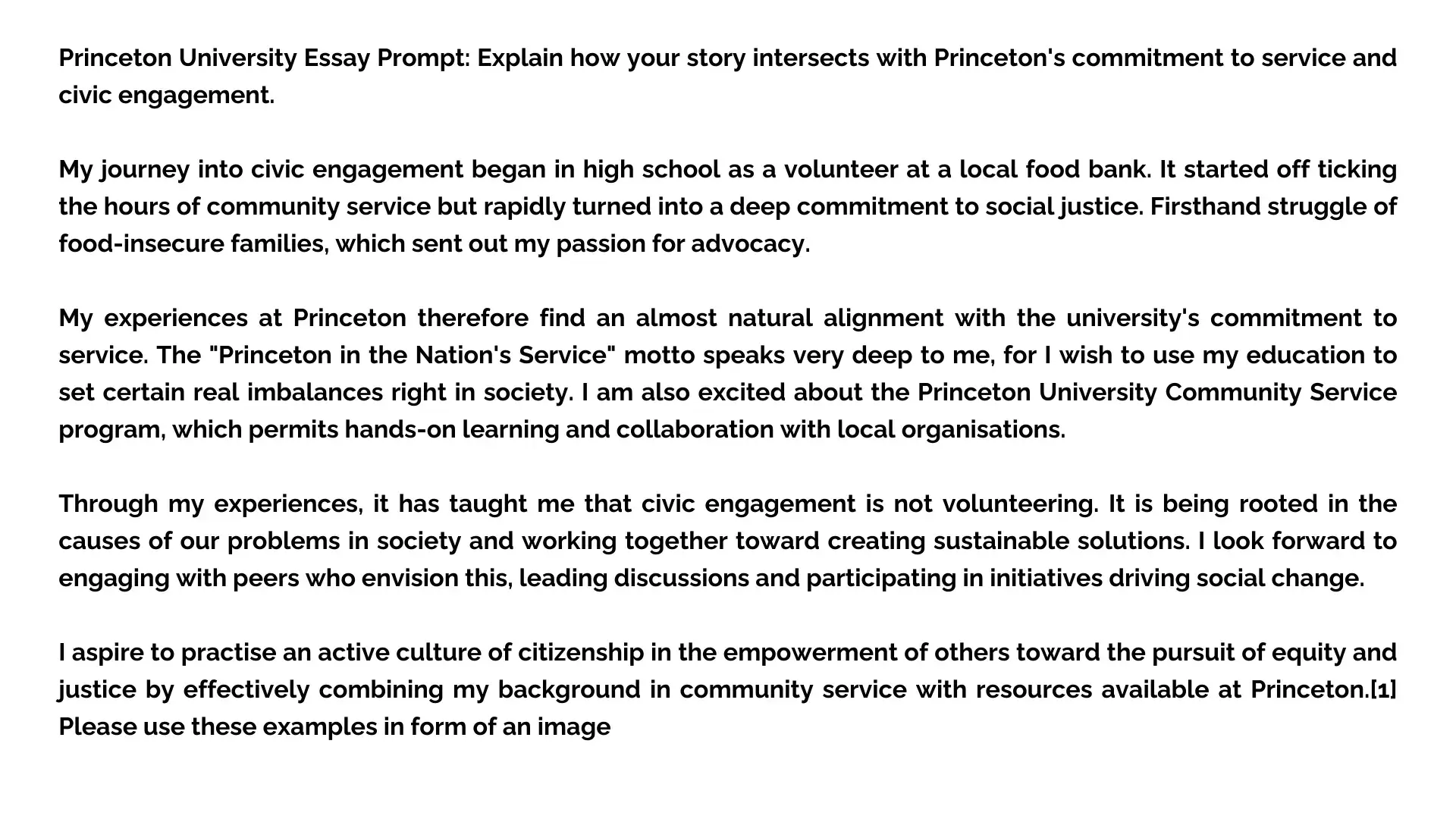 Princeton Essay Example 2