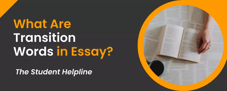 What Are Transition Words in Essay