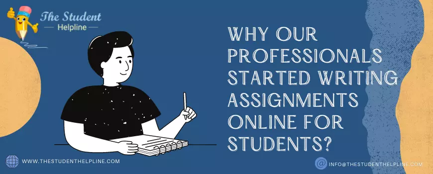 Why Our Professionals Started Writing Assignments Online For Students